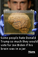  Personally, I'll take all the mean tweets Donald Trump can dish out, as long as I get $1.89 gallons of gas, 3% mortgage rates, control of our Southern borders, full employment, and no wars overseas. 